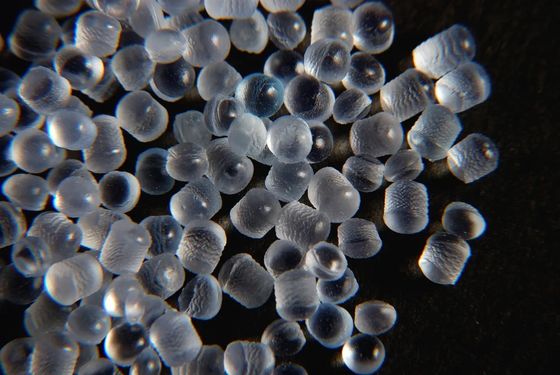 Transparente lichtdurchlässige TPE-Körnchen super weiches TPE beizen thermoplastisches Elastomer SEBS